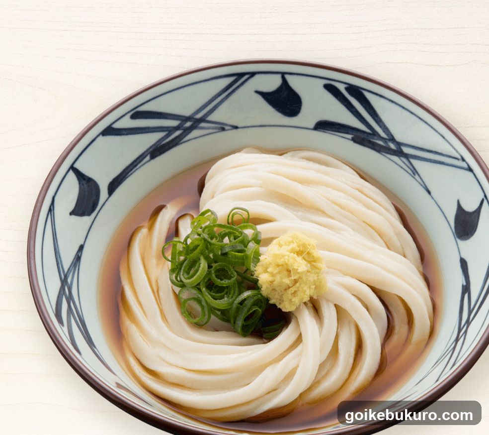 Udon Noodle Bowl with Tofu and Scallions