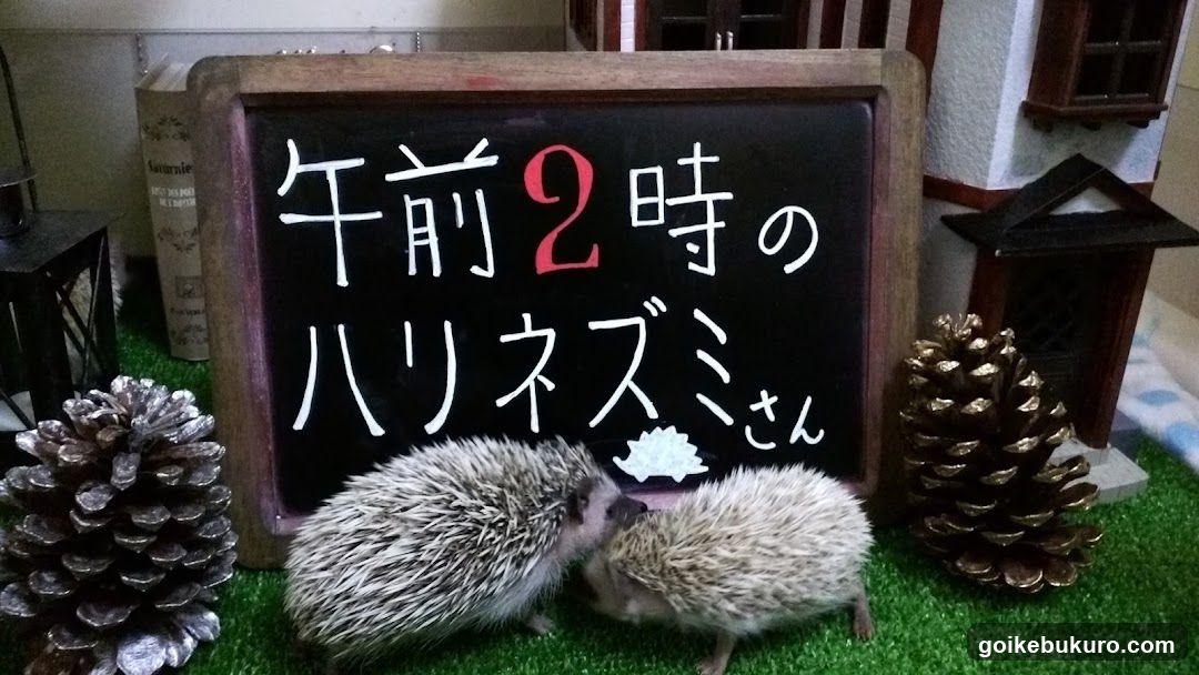 午前2時のハリネズミさん