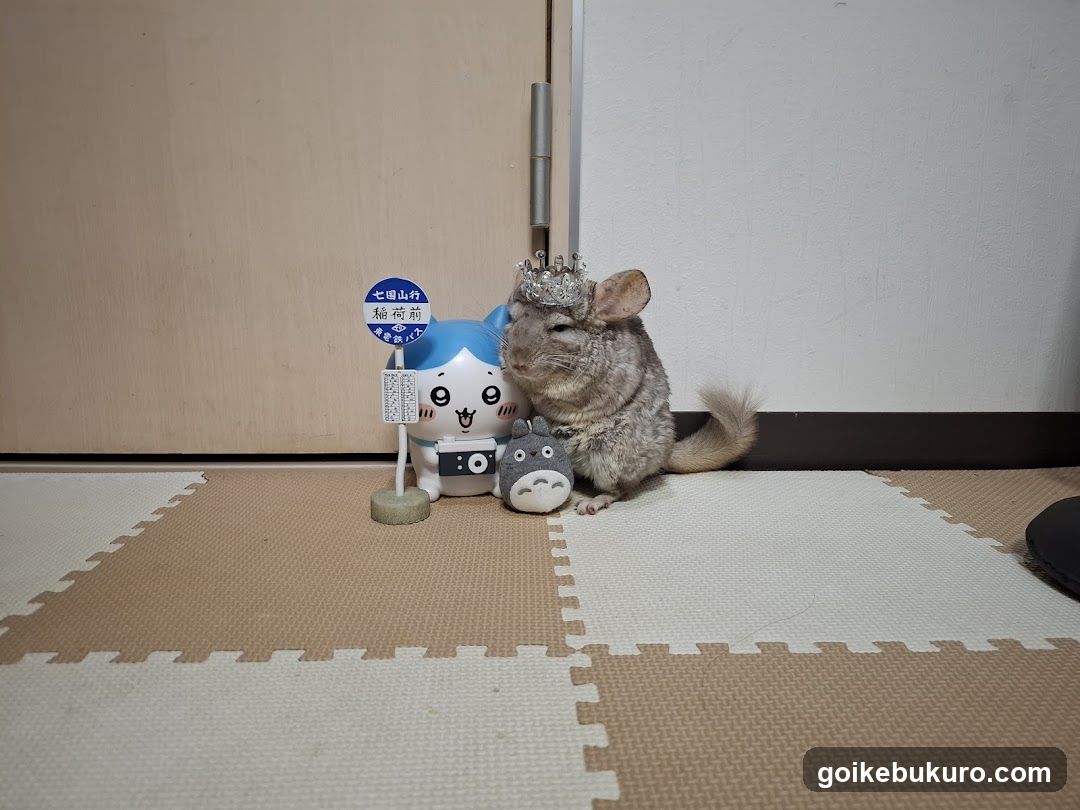 午前2時のハリネズミさん
