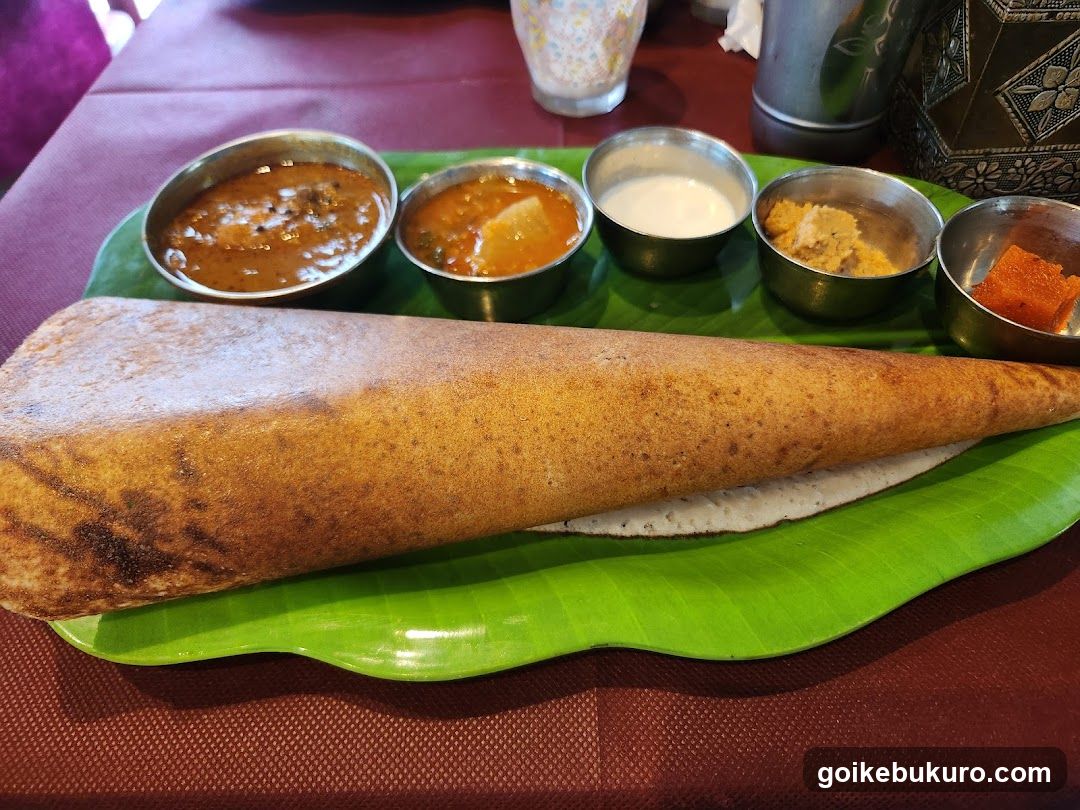 A-RAJ South Indian Restaurant
