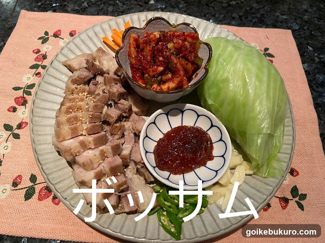 池袋 韓国料理 チョアヨ カラオケ