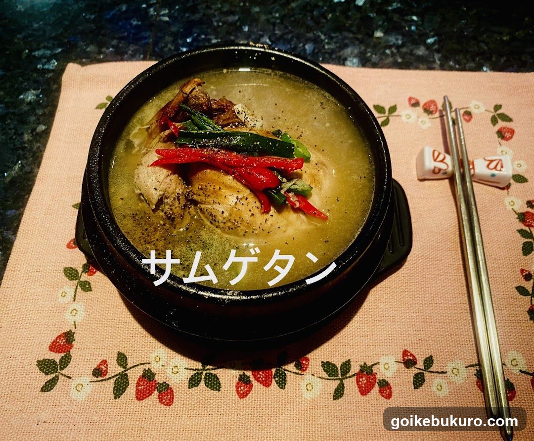 池袋 韓国料理 チョアヨ カラオケ