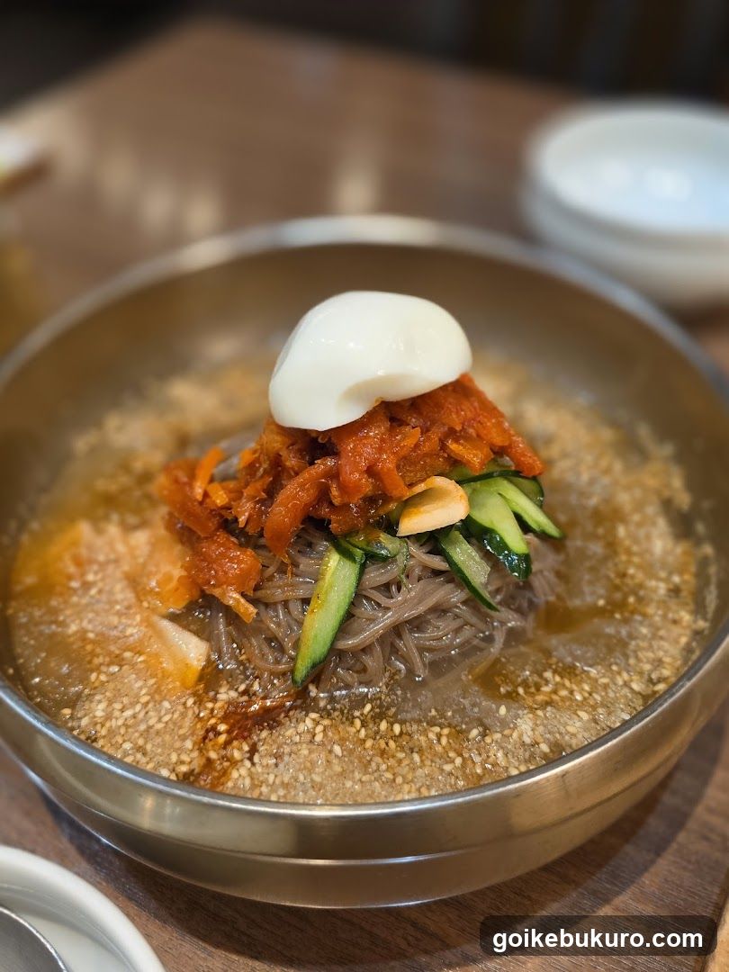 Niccori Maccori Ikebukuroseibuten Korean Restaurant