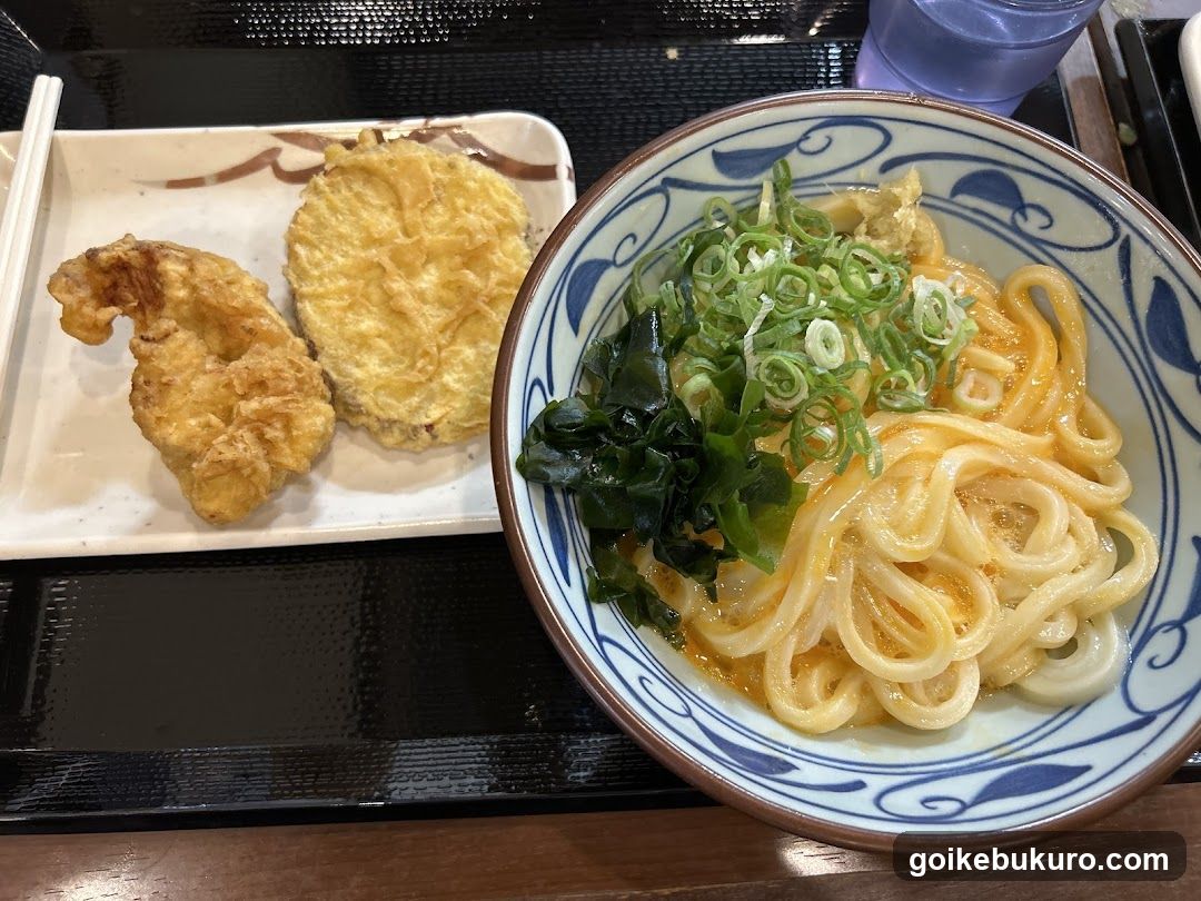 Udon Meal with Tempura