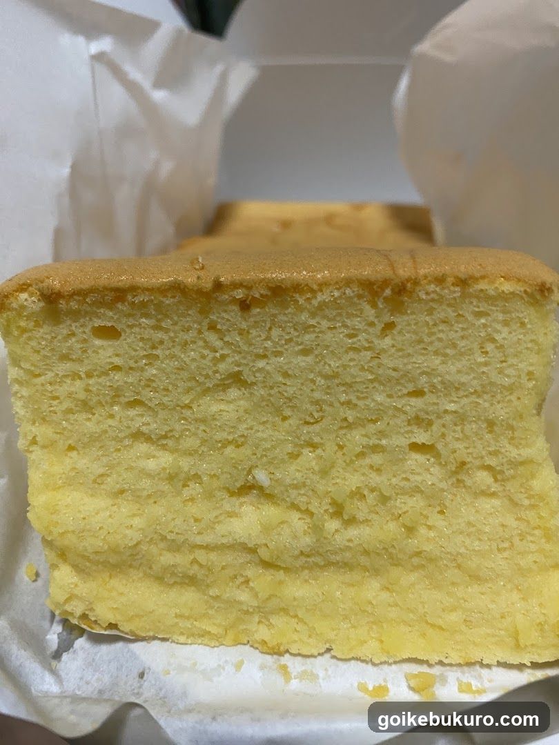 Sponge Cake Slice