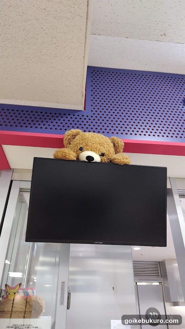 Turtle Bear Display
