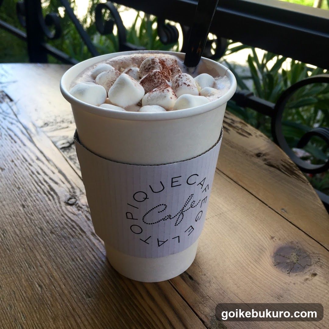 Cup of Hot Chocolate with Marshmallows