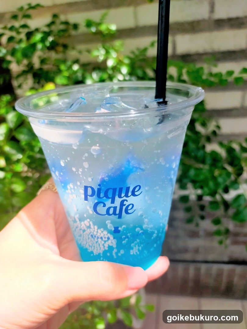 Blue Iced Drink at Pique Cafe
