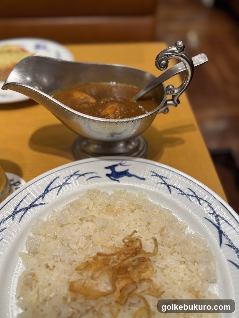 Curry and Rice Meal