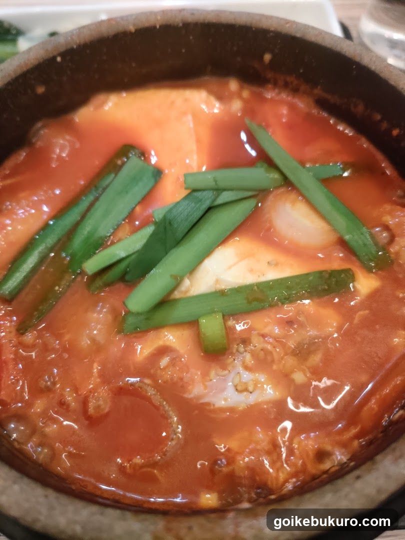 Spicy Stew with Green Onions