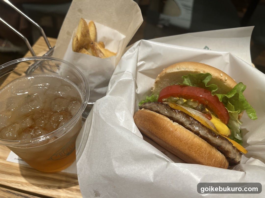 Burger and Fries Meal