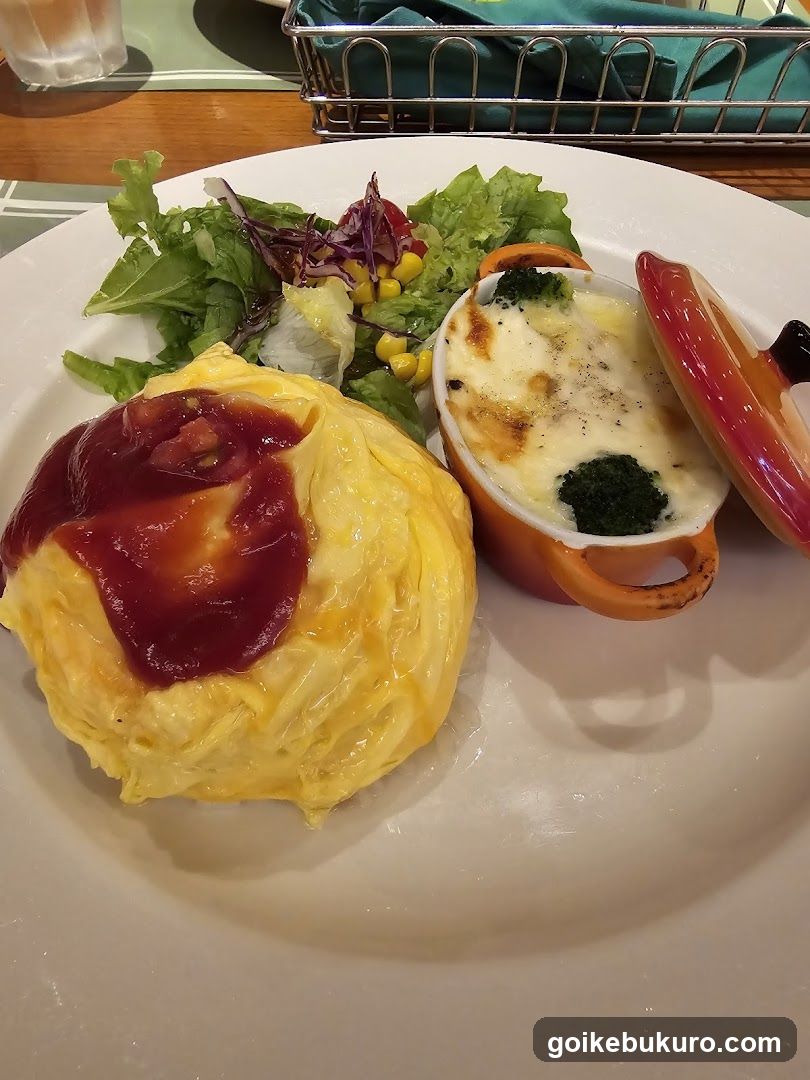 Omelette and Salad Dish