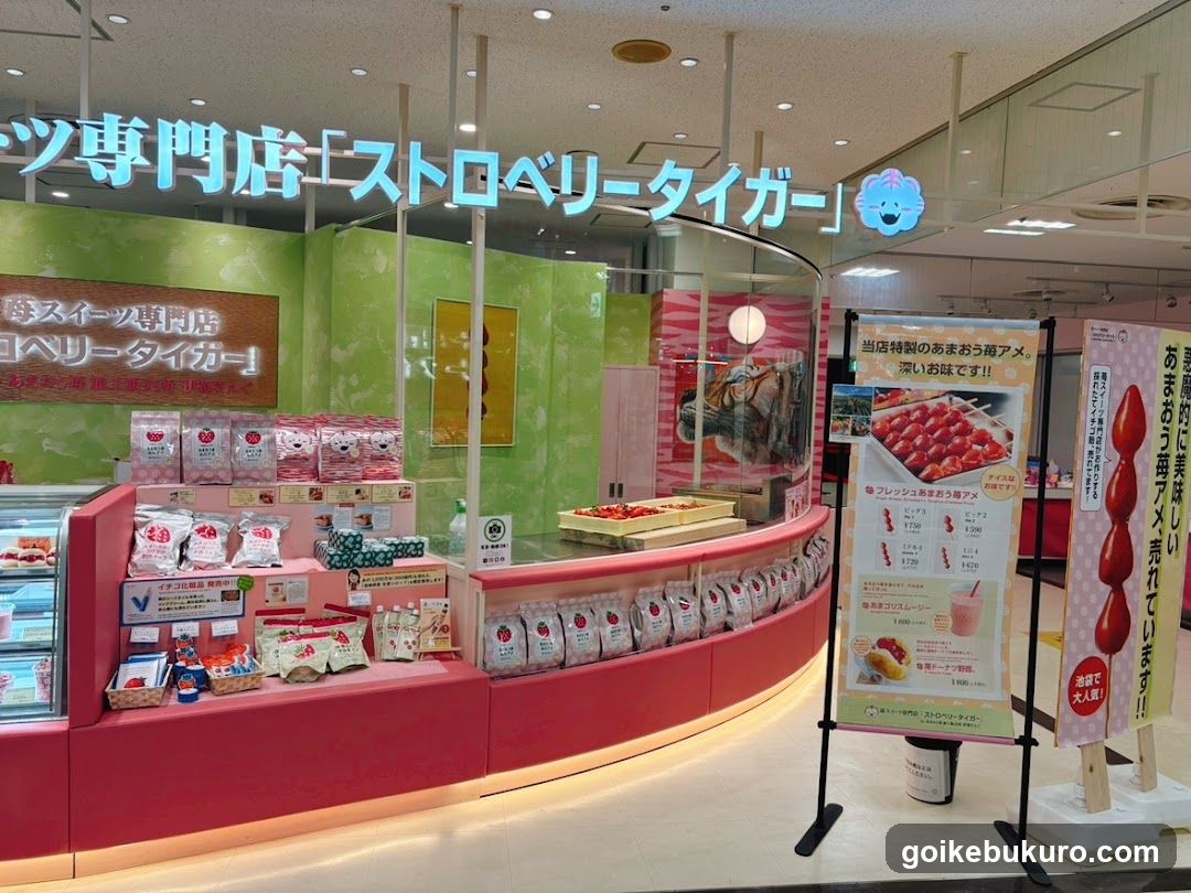 Strawberry Tiger Shop Interior