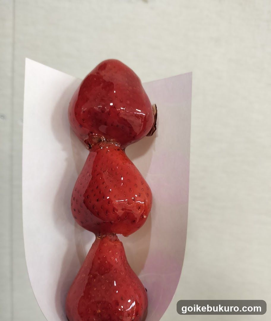 Candied Strawberries on Paper