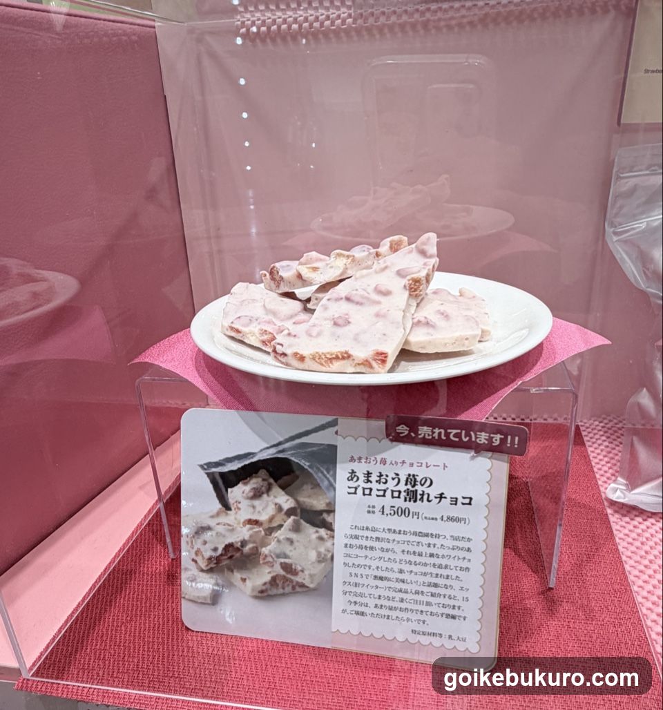 Amameo Koji Chocolate Display