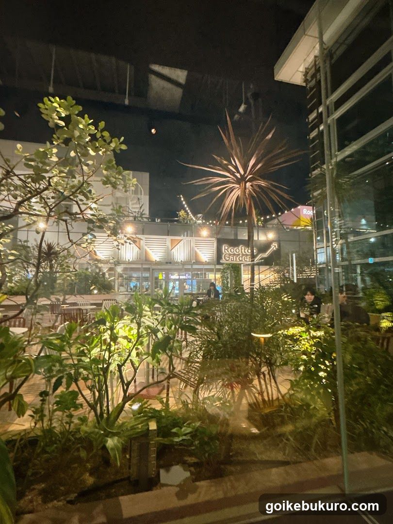 Rooftop Garden Night View