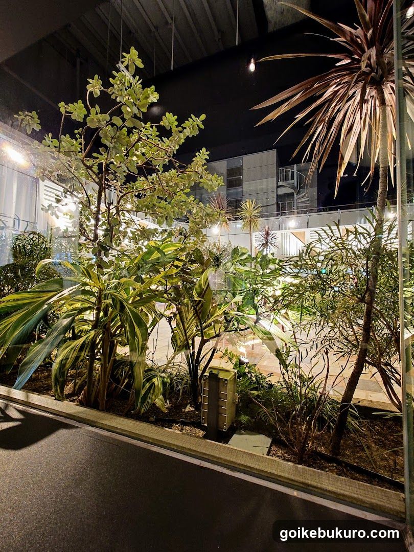 Indoor Garden at Night