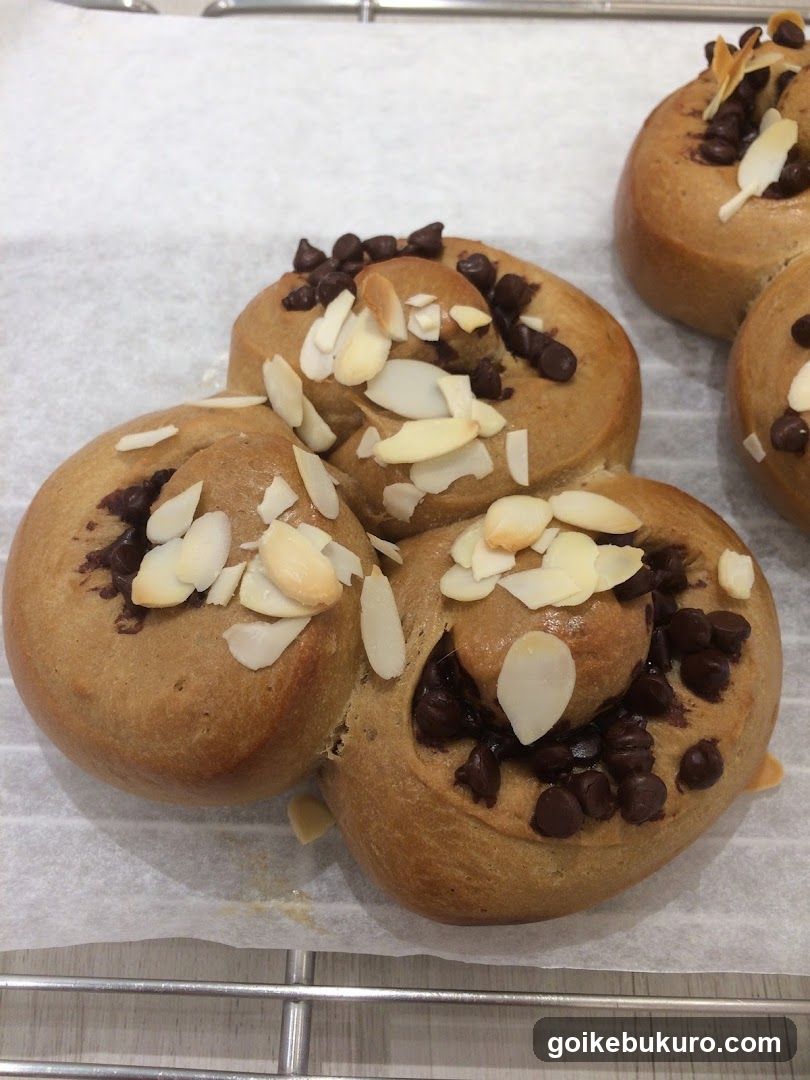 Almond and Chocolate Buns