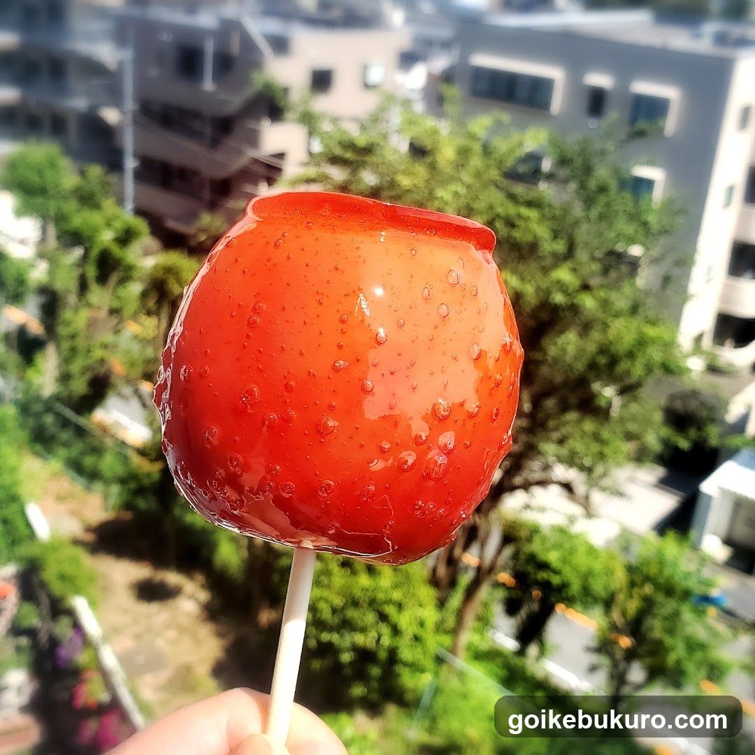 Candy Apple on Stick