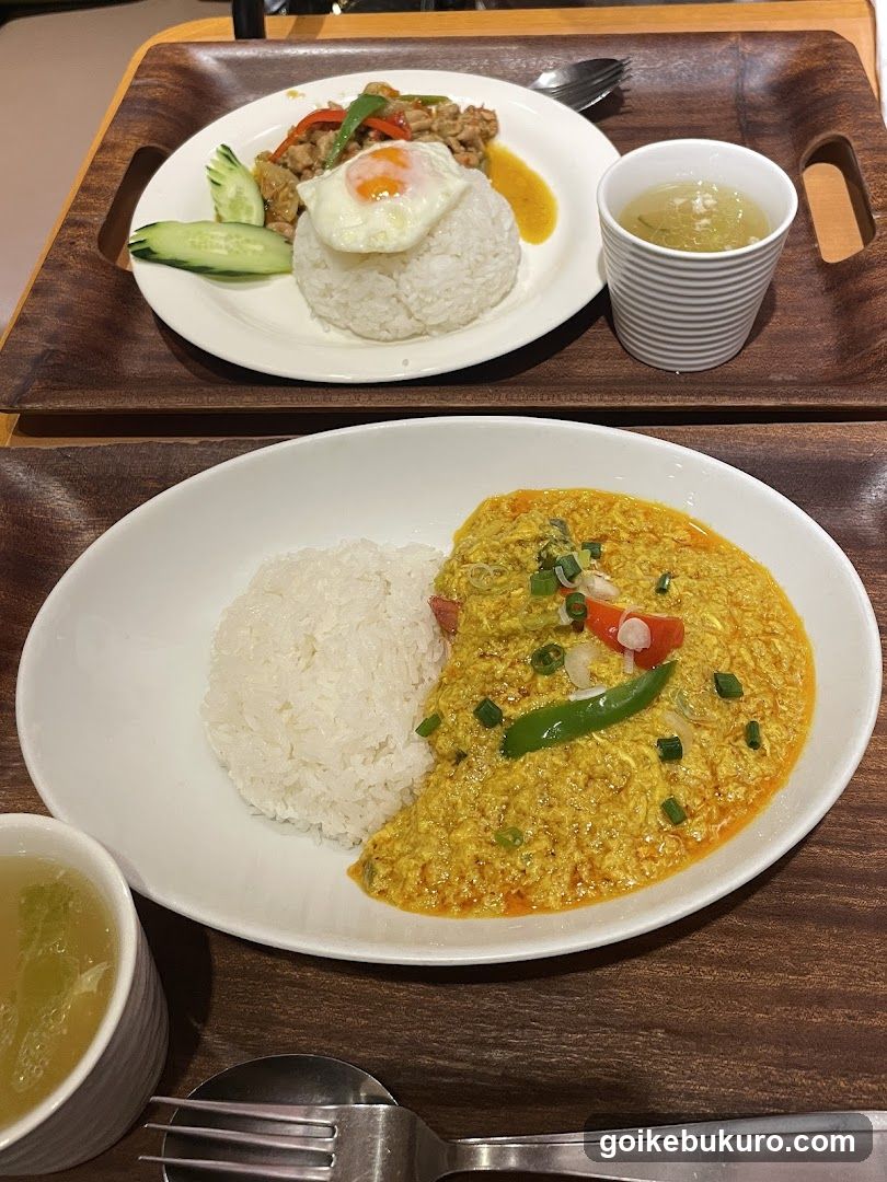 Thai Curry and Fried Rice Meal