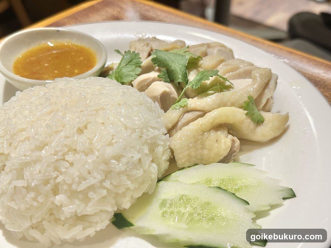 Hainan Chicken Rice Plate