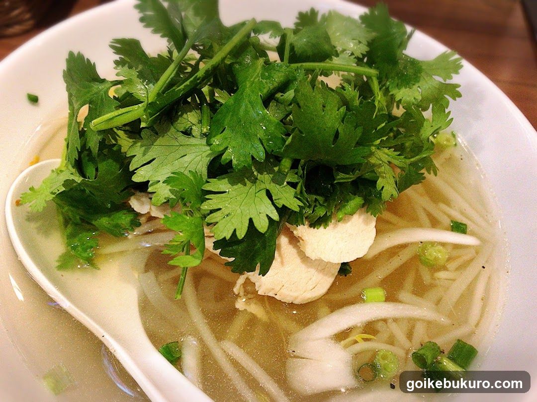 Bowl of Soup with Cilantro