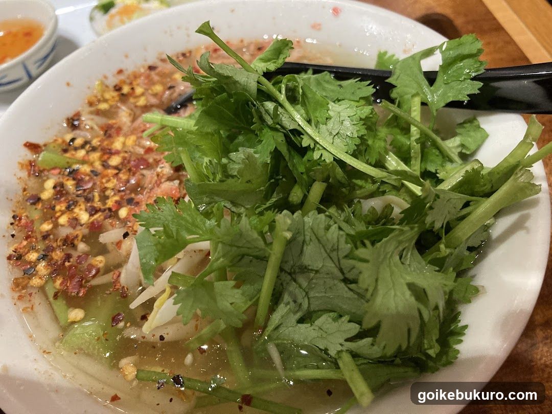 Bowl of Noodle Soup with Cilantro and Chili Oil