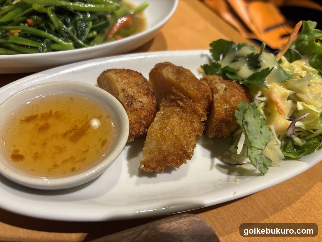Fried Food with Salad and Sauce