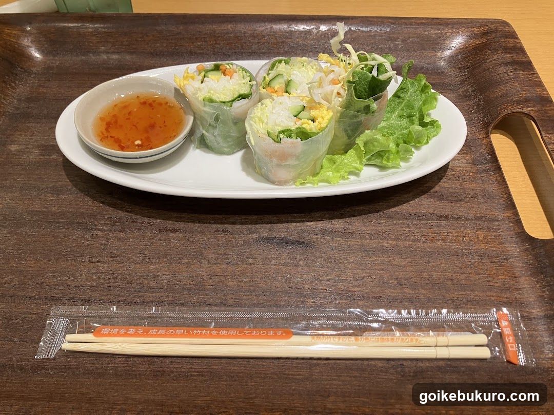 Spring Rolls with Dip