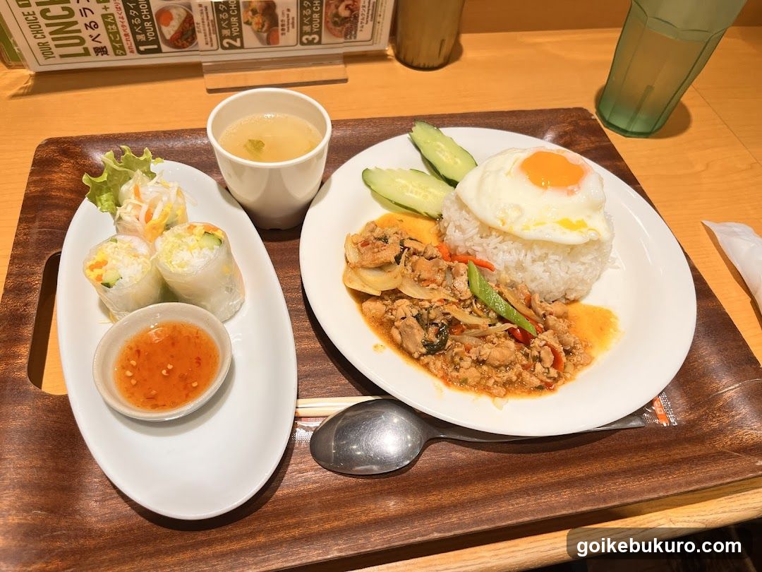 Thai Rice and Spring Rolls Meal