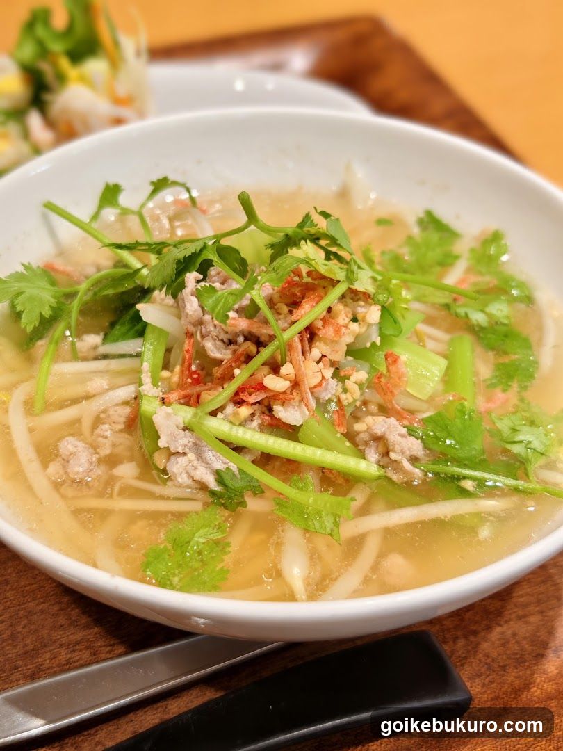 Bowl of noodle soup with garnish