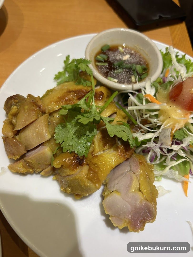 Chicken Dish with Salad and Dipping Sauce