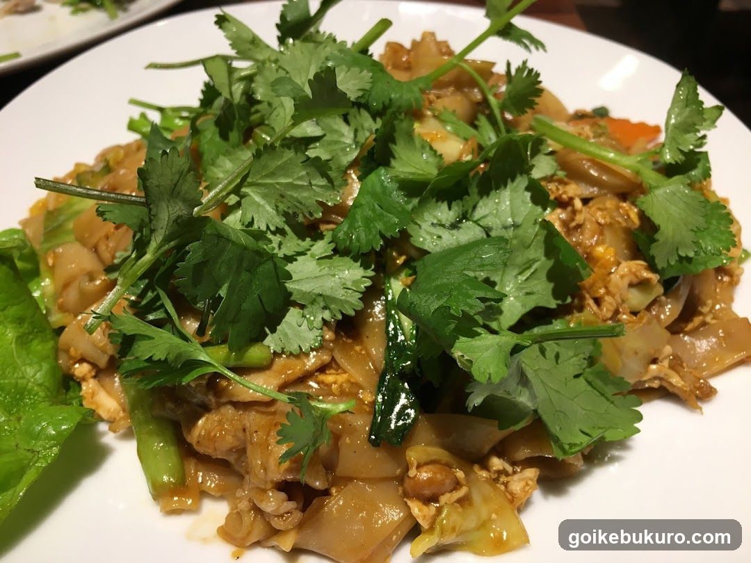 Thai Stir Fry Noodles with Cilantro