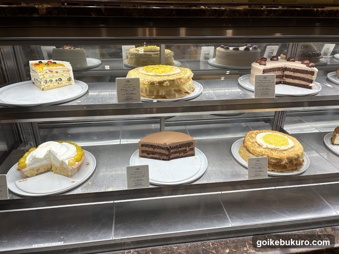 Cake Display Case