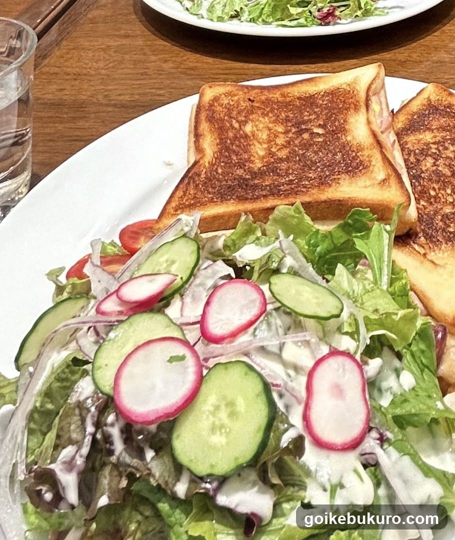 Grilled Sandwich with Salad