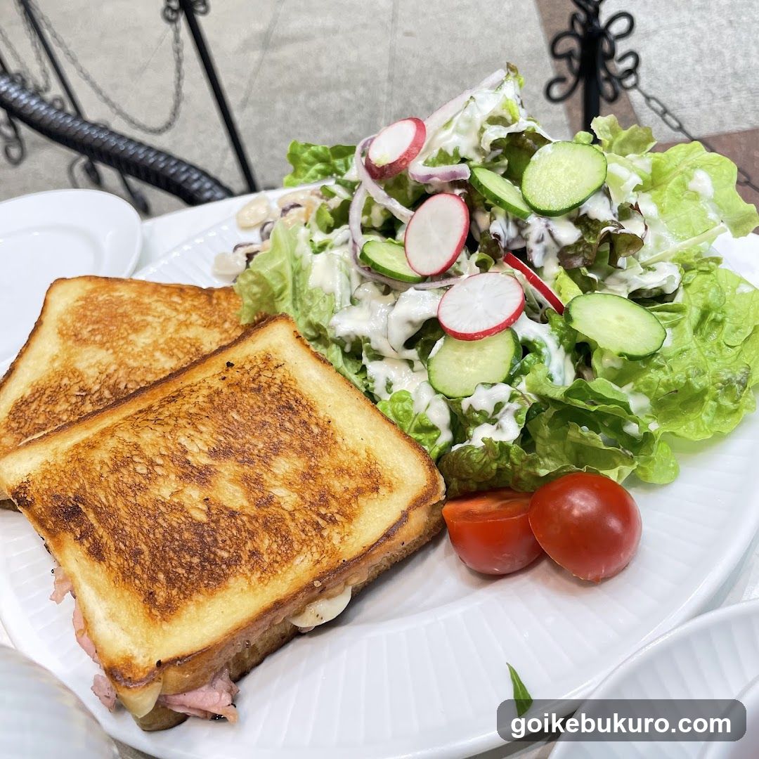 Grilled Sandwich and Salad Plate