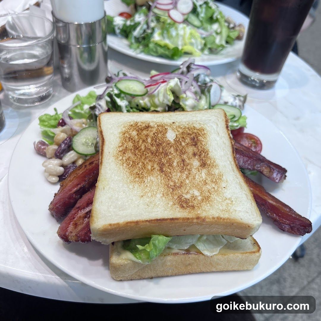 Grilled Sandwich with Salad and Bacon