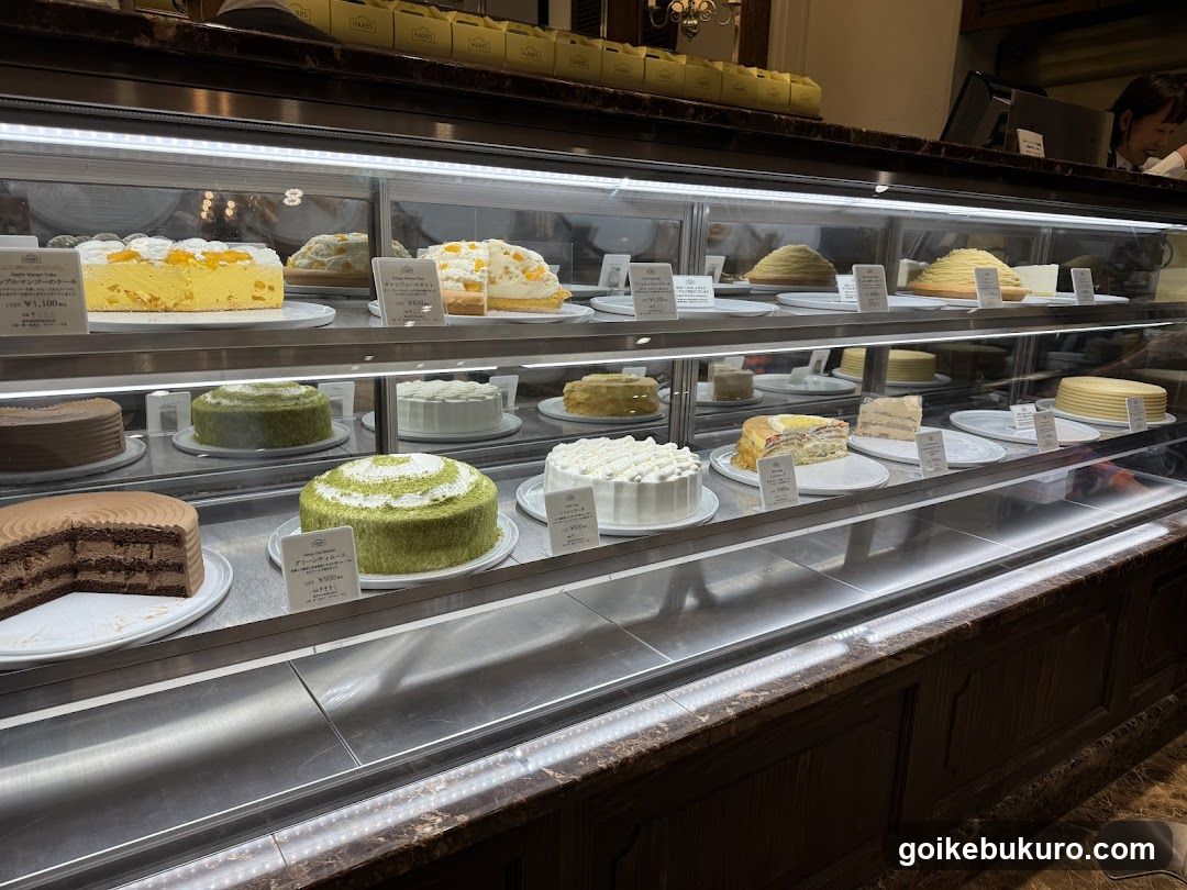 Cake Display Case