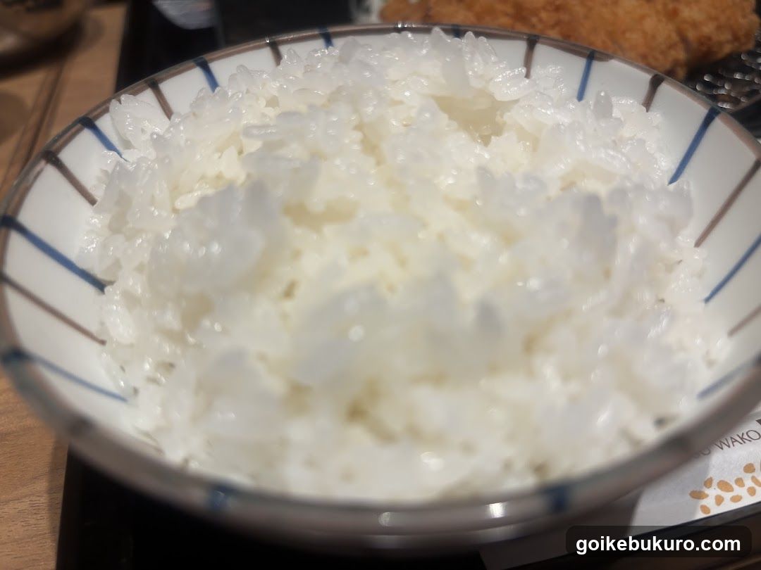 Bowl of White Rice