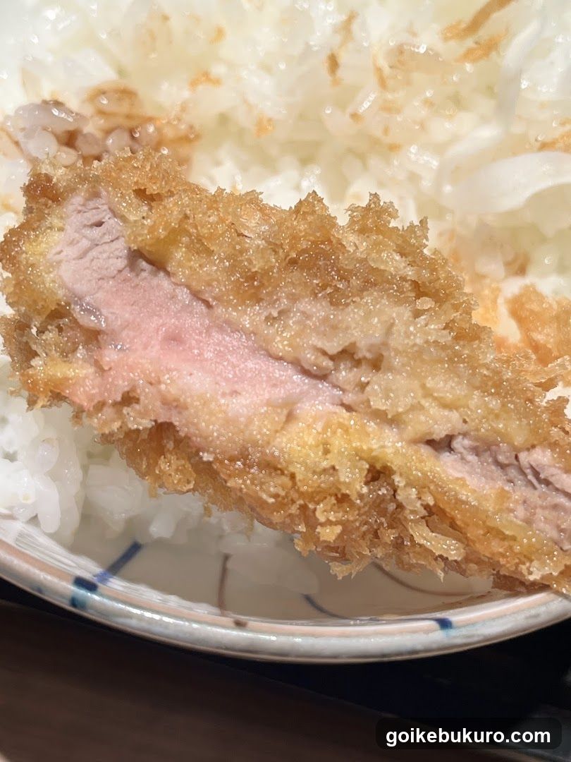 Katsu Rice Bowl