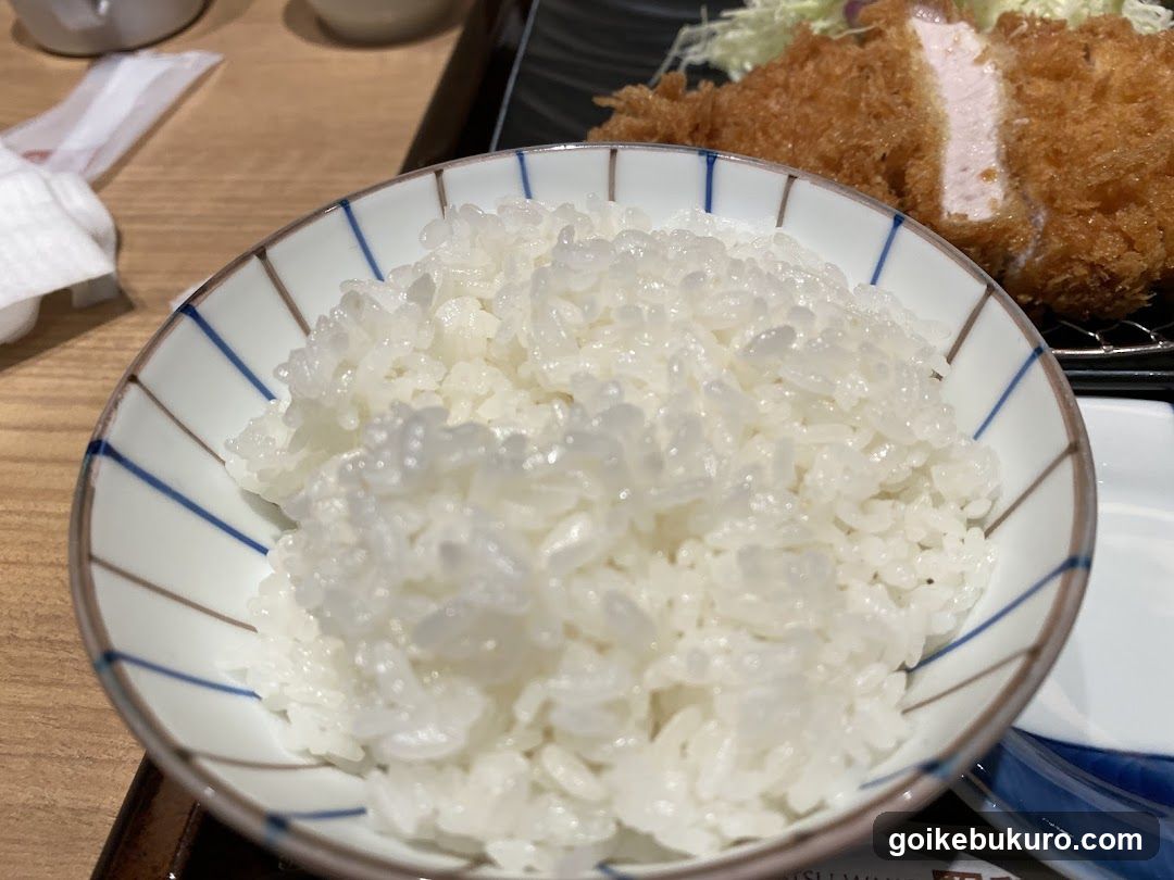 Bowl of White Rice with Katsu Cutlet