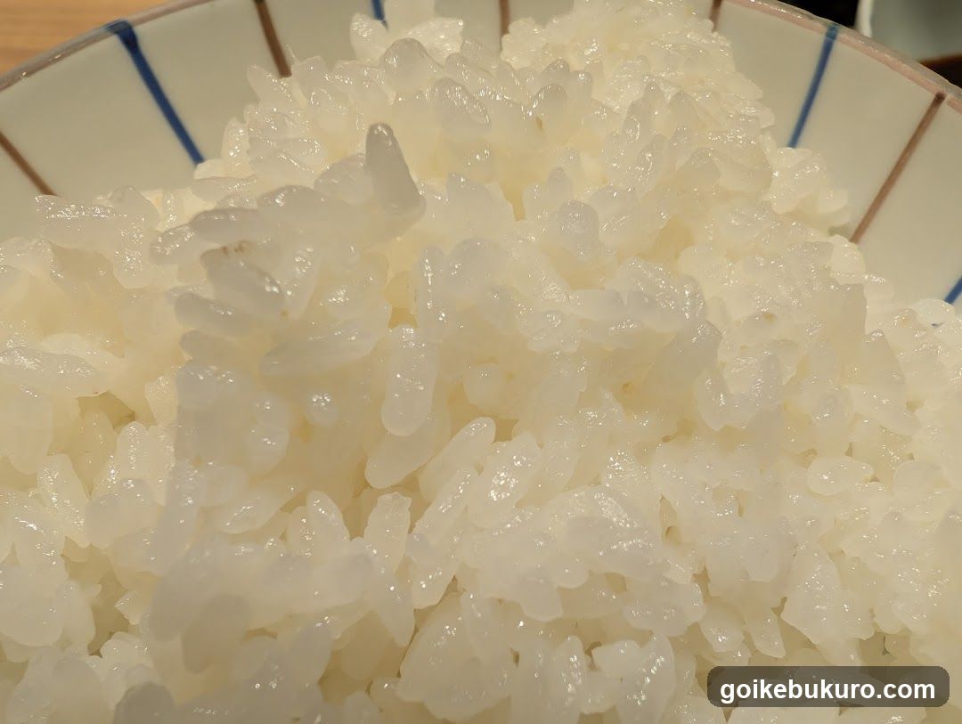 Bowl of White Rice