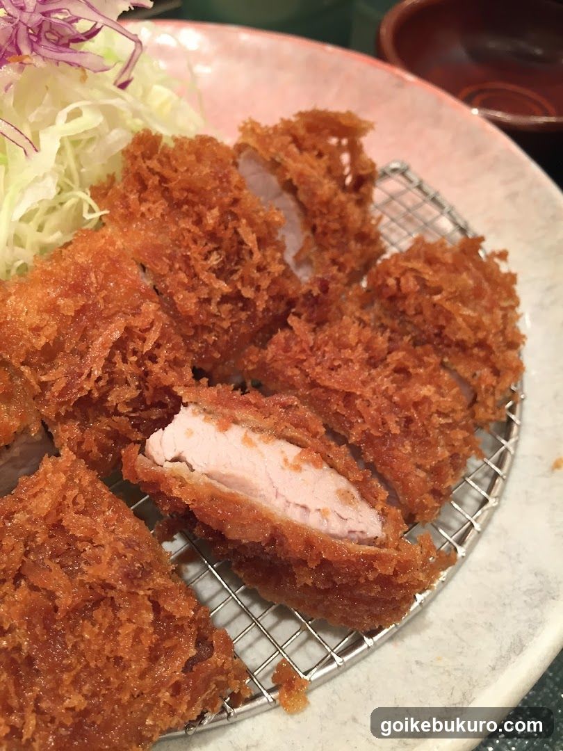 Katsu Slices with Cabbage Salad