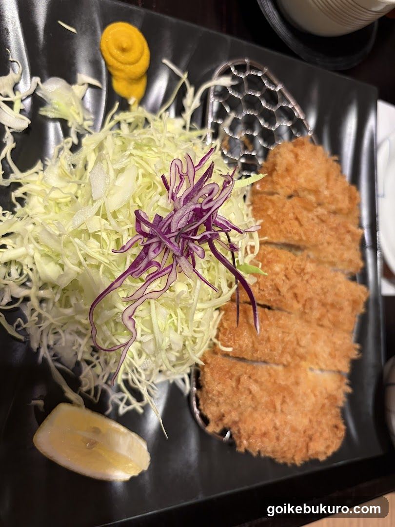 Katsu with Cabbage Salad