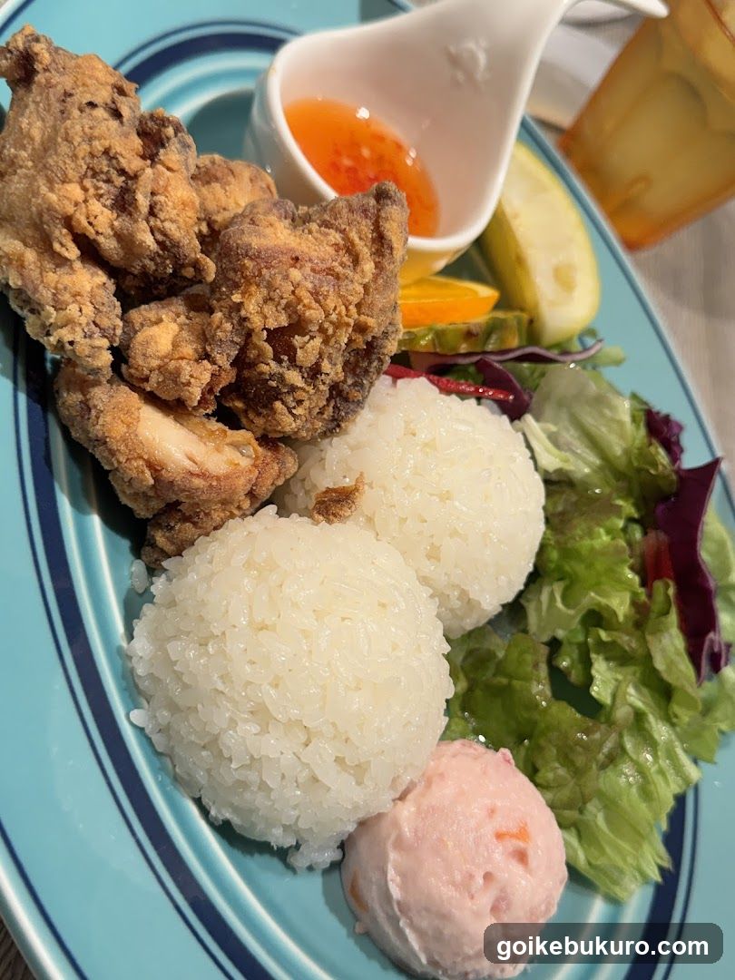 Fried Chicken and Rice Meal