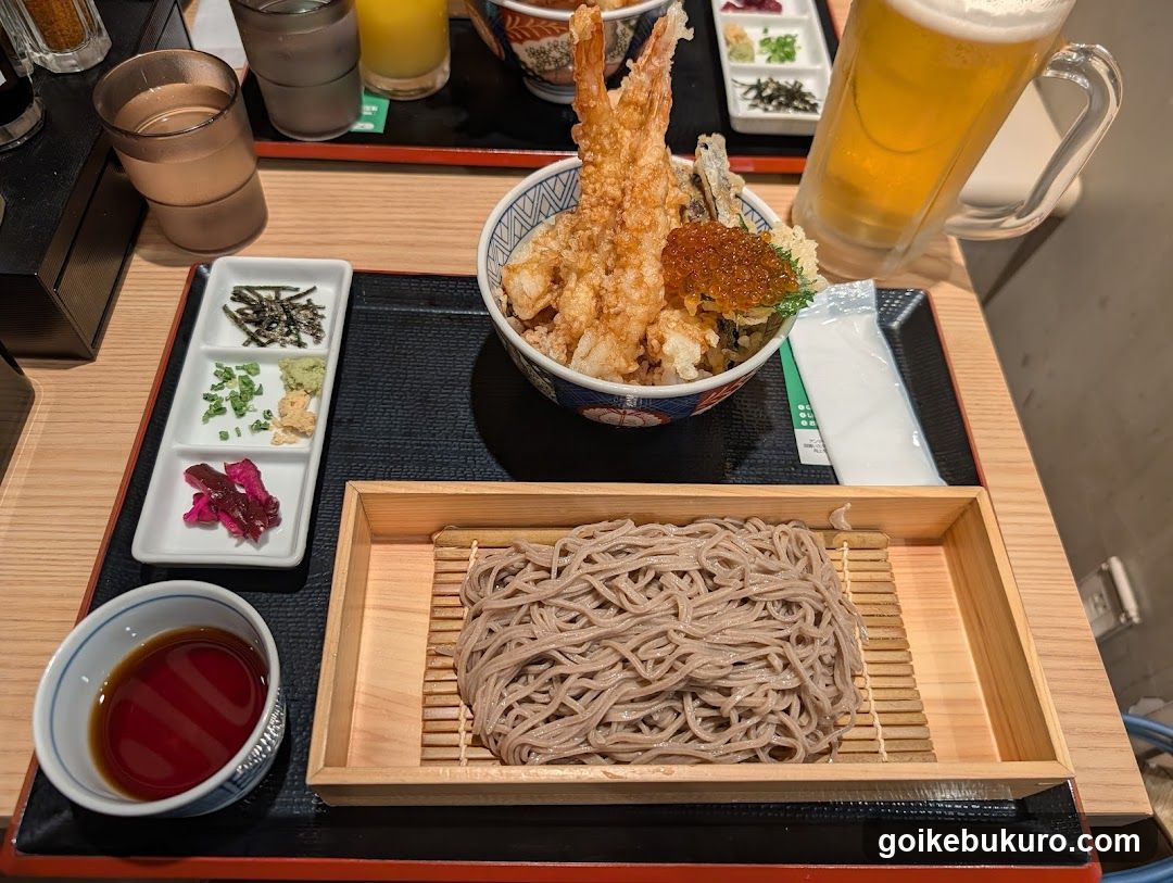 Soba and Tempura Bowl Set