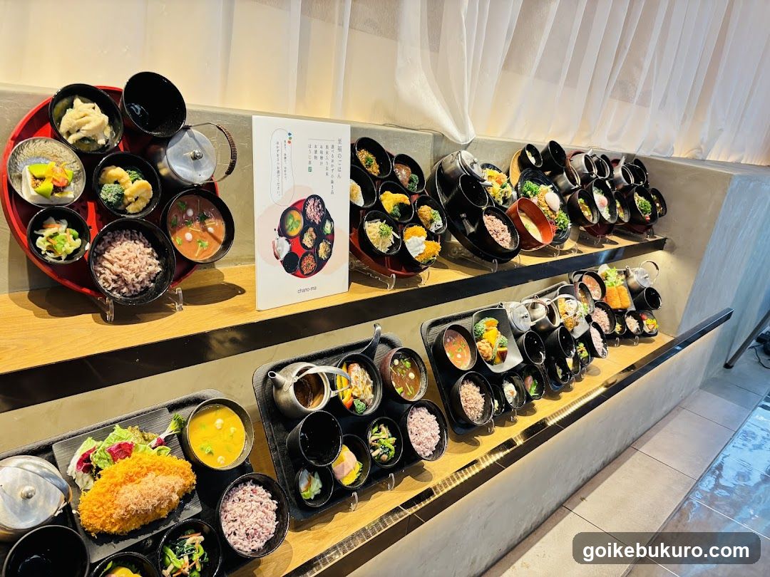 Dish Display Shelf