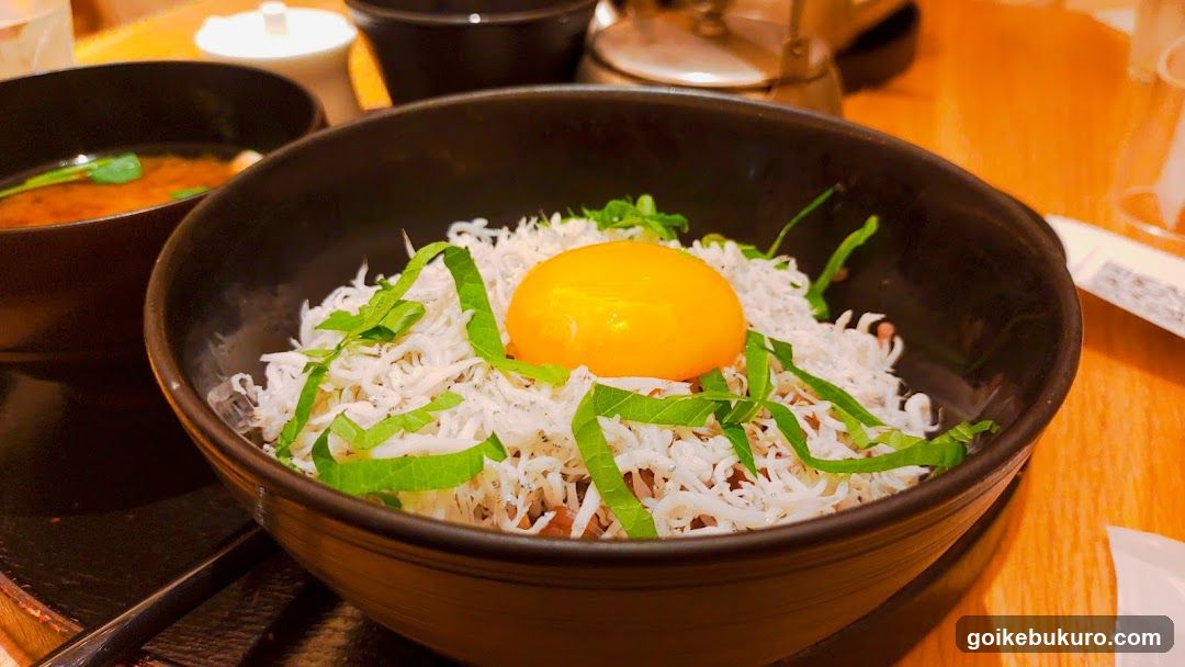 Egg on Rice Bowl