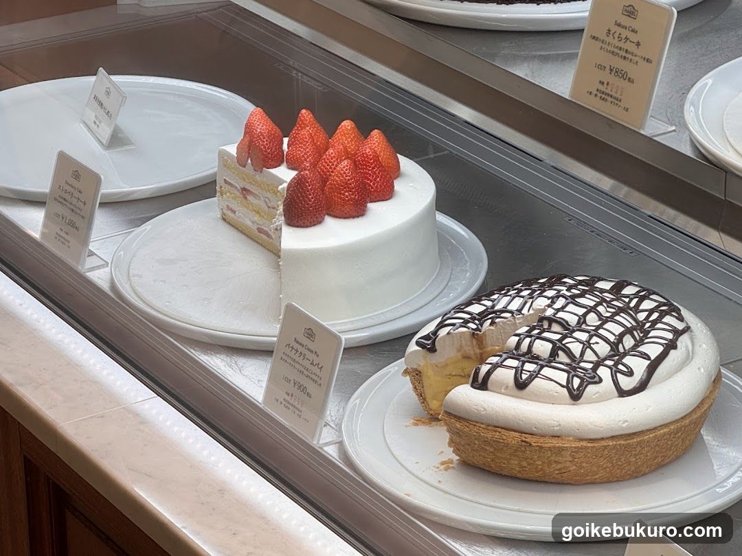 Cake Display Case