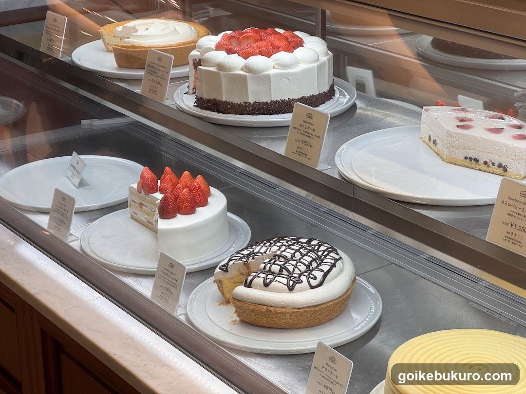 Cake Display Case